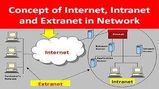 What is Internet INTRANET and ExtraNET in Network [upl. by Cissiee83]