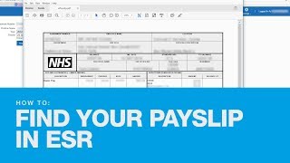 How to find your Payslip in ESR [upl. by Nibot]