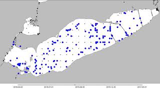 2016 Lake Erie Walleye Fish Movement  West Basin [upl. by Otxilac83]