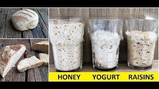 How to make a Sourdough Starter  3 easy ways [upl. by Hege601]