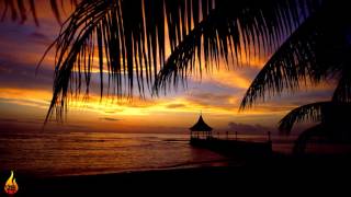 1 Hour Chill Out Reggae Island Music  Infest  Alific [upl. by Jarvis]