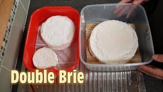 How to Make Double Brie Cheese at Home [upl. by Ahsead]