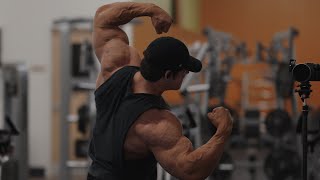 IFBB Pro Arm Workout [upl. by Hally]