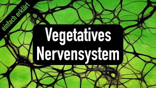 Vorlesung 5 Vegetatives Nervensystem [upl. by Erena]