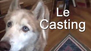 LE CASTING  PAROLE DE CHIEN [upl. by Eelime]