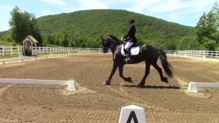 First Level Dressage Musical Freestyle  Sandra Beaulieu and Friesian horse Douwe  Outlander Theme [upl. by Ocimad618]