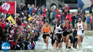 2018 NCAA Cross Country Championship  FULL DI mens race [upl. by Elleivap]