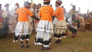 Mpondo Culture and Heritage Festival performance by Xhosa Traditional Group [upl. by Mani]