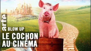 Le Cochon au cinéma  Blow Up  ARTE [upl. by Malorie505]