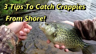 3 Crappie Fishing Tips Guaranteed To Catch Crappies From Shore [upl. by Aonehc]