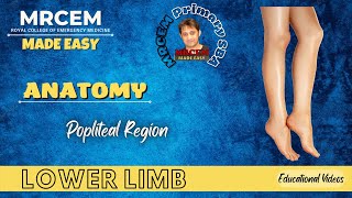 MRCEM Primary  Anatomy  Lower Limb  Popliteal Region [upl. by Wardle]