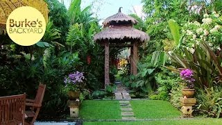 Burkes Backyard Dennis Hundscheidts Tropical Garden How To Make a Small Garden Look Big [upl. by Kevon]