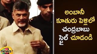 AP CM Chandrababu Naidu At Isha Ambani Wedding  Mukesh Ambani  Nita Ambani  Mango News [upl. by Finbur]