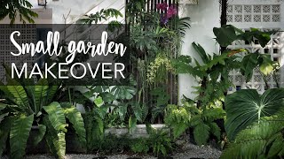 Small tropical garden 20sqft makeover with 10 Pro Gardening Tips [upl. by Derriey678]