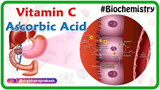 Vitamin C  Ascorbic acid Animation  MetabolismSources Synthesis  functions Scurvy [upl. by Adal]