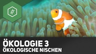 Umweltfaktoren und Ökologische Nischen  Ökologie 3 [upl. by Tamarra]