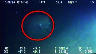 12 Mysterious Underwater Creatures Caught on Tape [upl. by Ayahsey]