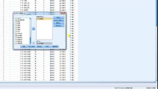 一夜。統計學：如何使用SPSS進行二因子變異數分析 amp 單純主要效果檢定（利用檔案分割功能） [upl. by Astrahan]
