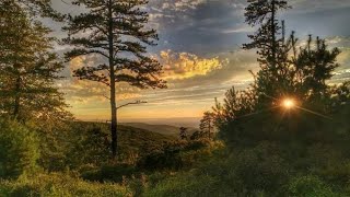 Michaux ATV trails amp sights in Michaux State Forest of Pennsylvania [upl. by Cerellia]