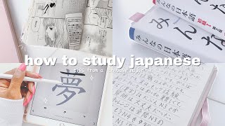 how i study japanese tips from an actual language major  THE ULTIMATE GUIDE [upl. by Yrreiht554]