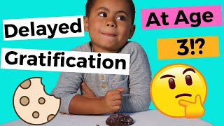 Delayed Gratification  Experiment Can A Toddler Delay Gratification [upl. by Sheffie]