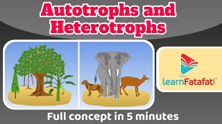 Class 7 Science Chapter 1 Nutrition in Plants  Autrotrophs and Heterotrophs  CBSE  Learnfatafat [upl. by Essy]