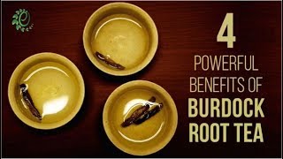 How To Make Burdock Root Tea amp Its Healing Benefits  Organic Facts [upl. by Pollie]