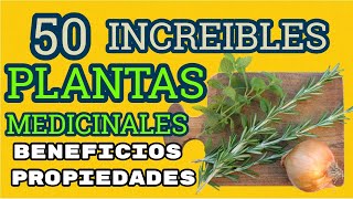 Las Mejores 50 PLANTAS Medicinales Sus Beneficios y Propiedades [upl. by Lemra]