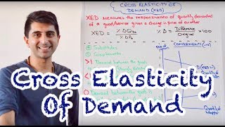 Y1 13 Cross Elasticity of Demand XED [upl. by Matlick748]