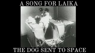 A song for Laika the dog sent to space [upl. by Strohl]