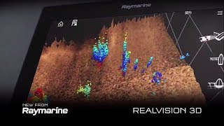 Raymarine RealVision 3D Sonar [upl. by Frazer]