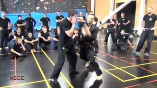 Pencak Silat Hugo Tronche  Extraits de stages [upl. by Stoddard909]