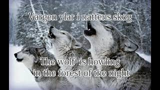 Vargsången Swedish lullaby lyricstranslation [upl. by Garwood]