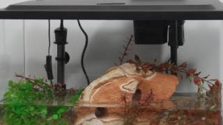 Tetra® Products — 10 Gallon Aquarium Kit Setup [upl. by Anan]