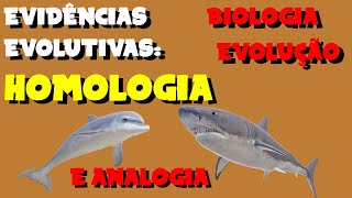 EVIDÊNCIAS EVOLUTIVAS Homologia x Analogia  EVOLUÇÃO  BIOLOGIA [upl. by Dumond258]