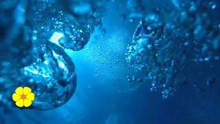 Underwater REAL Bubble Sounds  Water Bubbles  Underwater Sounds Ambience Relax White Noise 5 HOURS [upl. by Erkan]