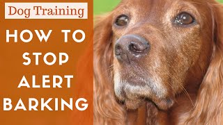 How To Train A Dog To Stop Alert Barking [upl. by Iago626]