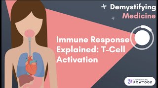 Immune Response Explained TCell Activation [upl. by Konstance]