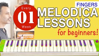 Melodica Lessons for Beginners 01 Fingers [upl. by Edecrem]