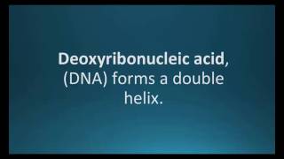 How to pronounce deoxyribonucleic acid DNA Pharmcabulary for Memorizing Pharmacology Flashcard [upl. by Ennaecarg873]