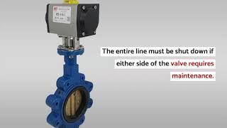 Wafer vs Lug Style Butterfly Valves [upl. by Adey]