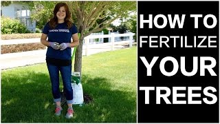 How to Fertilize Trees [upl. by Suhsoj]