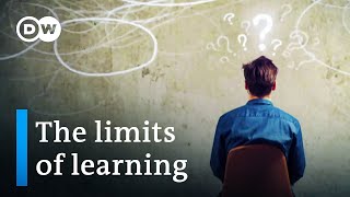 The limits of learning – kids in crisis  DW Documentary [upl. by Ajet855]