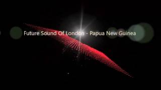 Future Sound Of London  Papua New Guinea [upl. by Ahon]