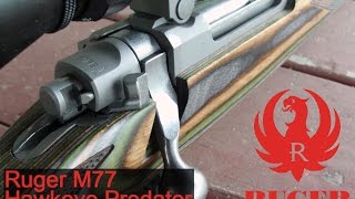 Ruger M77 Hawkeye Predator Review [upl. by Leunad]