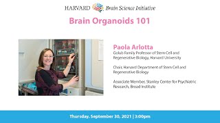 Brain Organoids 101 [upl. by Myrt]