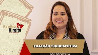 Explica Direito Filiação Socioafetiva  2019 [upl. by Eniladam]