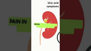 Uric acid symptoms [upl. by Nehtiek]