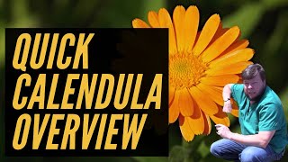 Calendula  2 Minute Overview [upl. by Sitruk929]