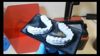 3D printing dental models with the Elegoo Mars 3D printer and meshmixer [upl. by Storfer516]